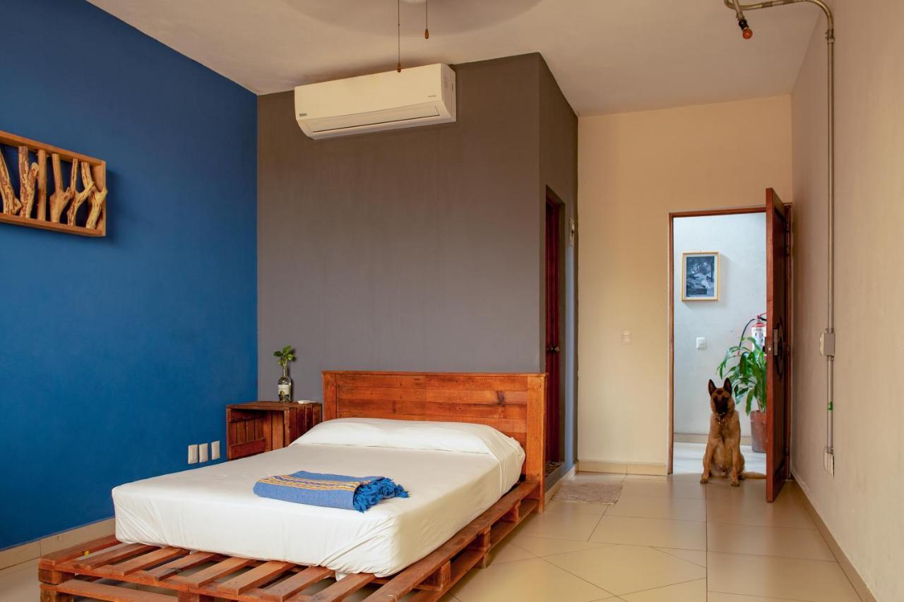 Puerto Dreams H Vandrehjem Puerto Escondido  Eksteriør billede